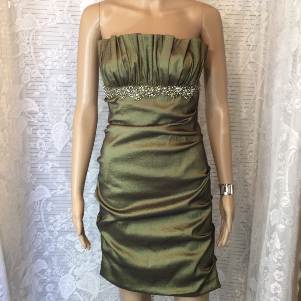 Hailey Cocktail Dress NWT Size 2 BEAUTIFUL